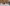 20251025_091803