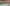 20251025_145524