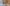 20251025_111756(0)
