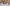 20251025_131943(0)