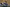 20250112-114925