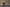 20250112-114928