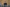 20250112-114994