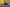 20250112-115115