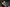 20230326-161517-6570-BUTNARU Marius (Recken)