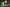 20230326-140142-4666-GRY Meggie (Altwis-Gaasp.)