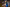 20230326-123630-2986-MOES Jeff (Eiter-Waldbr.)