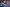 20230326-123553-2935-MOES Jeff (Eiter-Waldbr.)
