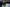 20250406-162303-1669-PIRON Vincent - Wolz