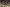 20250406-171443-3491-Supporter - Hueschtert-Folscht