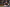 20250406-174043-3298-COSNIER Eva - Diddeleng
