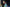 20250406-175818-3087-WANTZ Gene - Recken