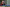 20220224-192653-293-STAMMET Annick