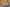 20210424-162953-240-Coach