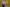20220327-130508-168-AREND Loris - Diddeleng