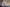 20220508-151900-156-SHAMRUK Gleb