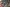 20260322-163257-014-Spectateurs