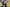 20260322-173255-645-ELSEN Luca - SAHR Aaron - Recken - Houwald