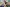20260322-155206-3783-ELSEN Luca - SAHR Aaron - Recken - Houwald