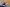 20260322-154826-331-GONDERINGER Tessy - DE NUTTE Sarah- Rued - Diddeleng