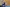 20260322-154808-4120-GONDERINGER Tessy - DE NUTTE Sarah- Rued - Diddeleng