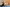 20260322-154827-2186-GONDERINGER Tessy - DE NUTTE Sarah- Rued - Diddeleng