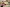 20260322-164637-867-SADIKOVIC Enisa - Diddeleng