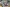 20260322-140709-743-Spectateurs