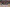 20230205-151347-1438-Spectators