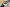 20260322-135955-3303-WANTZ Gene - Recken