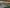 Ladiesday_23022025_8