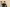 20260614-101407-1590-Diddeleng