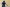 20260614-103959-200-Ell
