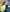 20260408-1009_CHEN Min-Hsin (TPE)_1728_Fernand Konnen