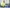 20260408-1010_CHEN Min-Hsin (TPE)_1731_Fernand Konnen
