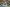 20260614-091516-007-Hall