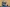20260614-175535-1271-WANTZ Gene - Recken