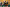 20260308-172446-945-Diddeleng
