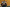 20260308-172415-1003-Diddeleng