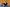 20260308-135501-2389-DIELISSEN Christine (Houwald)