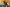 20260308-133508-457-SCHOLTES Lynn (Lenneng)