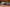 20260308-172457-876-Zuschauer