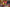 20260308-150617-2523-Zuschauer
