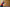 20211030-182055-656-HABEL Mirko