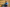 20211030-184155-188-Arbitter