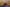 20211030-185535-176-GONDERINGER Tessy