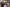 20250309-180800-078-Diddeleng