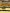 image00006
