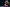 20240204-130308-293-Habscht