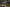 20240204-132751-1225-Habscht